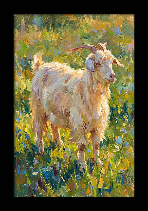 Angora Goat In Blooming Meadow
