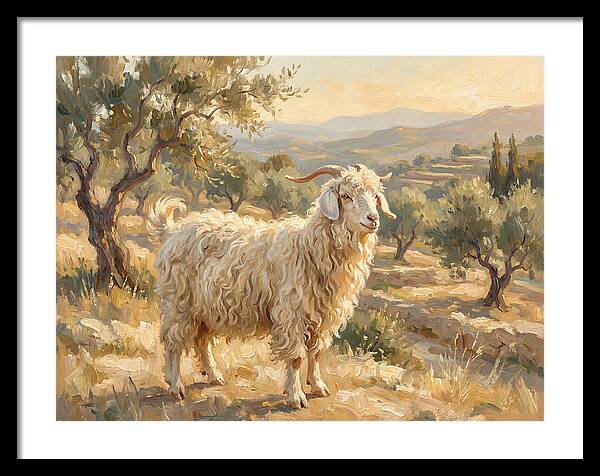 Angora Goat In Mediterranean Landscape