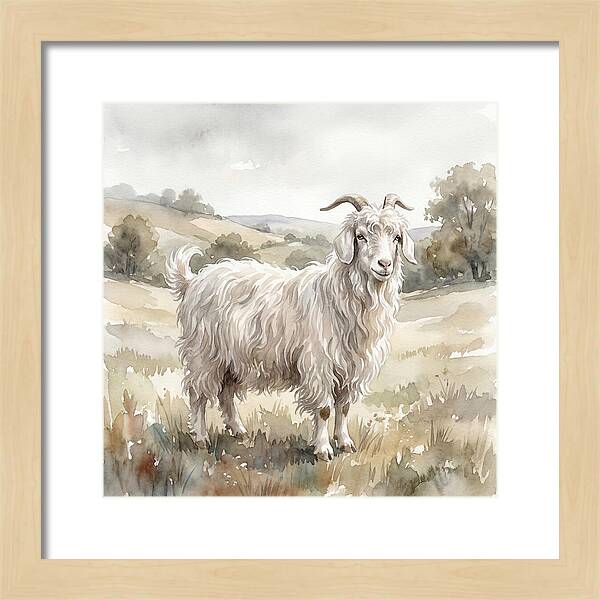 Angora Goat In Serene Landscape