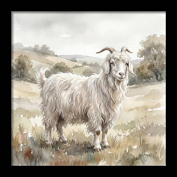 Angora Goat In Serene Landscape