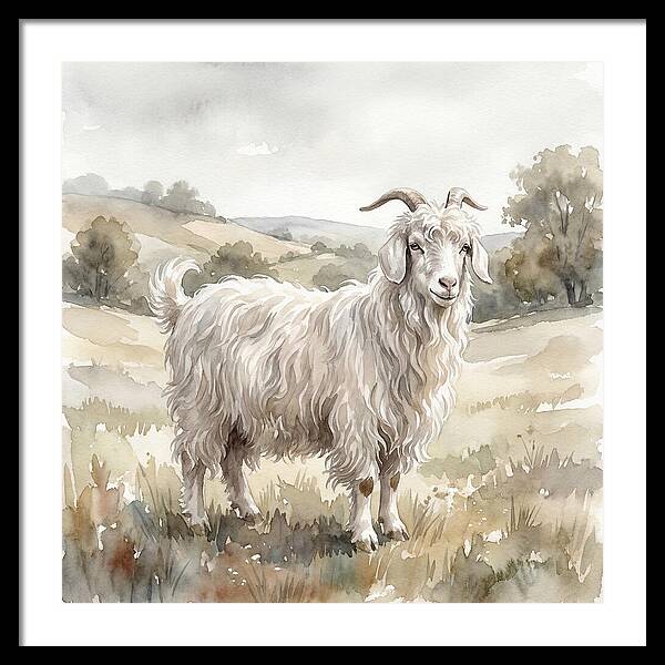 Angora Goat In Serene Landscape