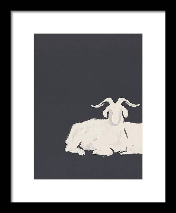 Angora Goat Minimalism