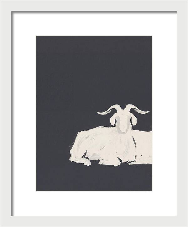 Angora Goat Minimalism