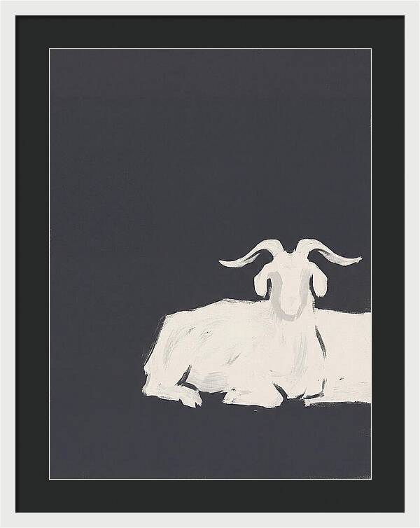 Angora Goat Minimalism