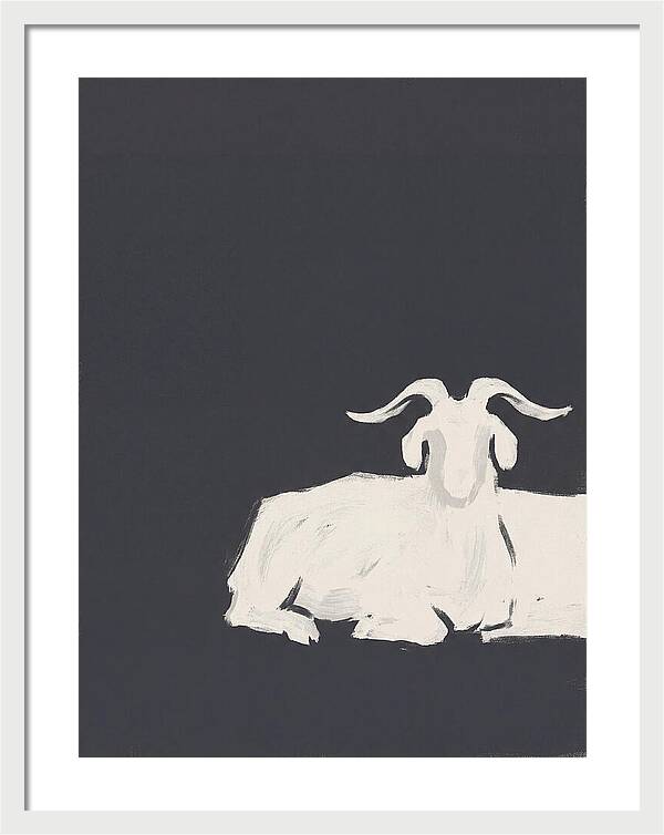Angora Goat Minimalism