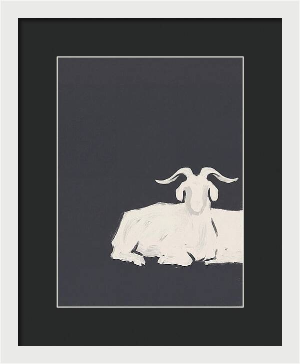 Angora Goat Minimalism