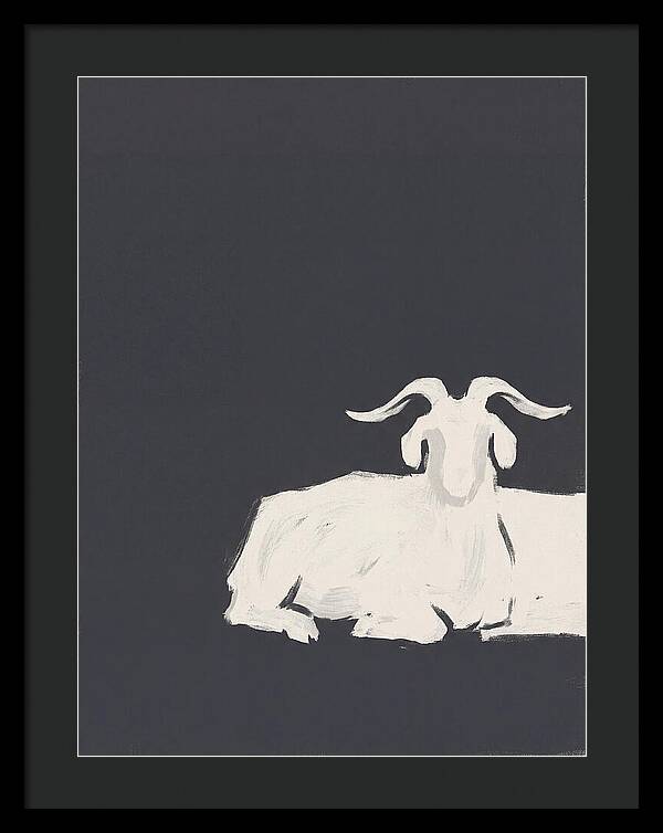Angora Goat Minimalism