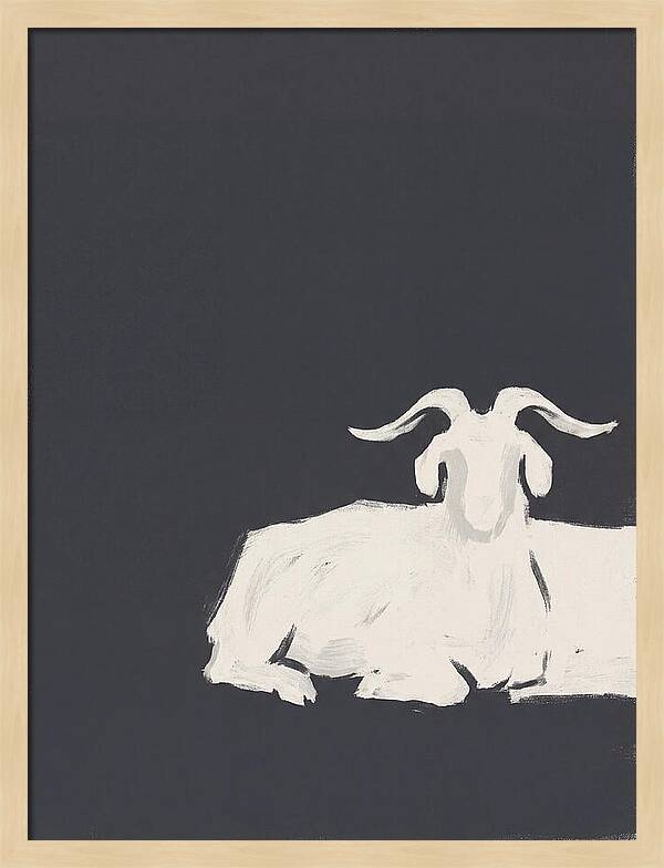 Angora Goat Minimalism
