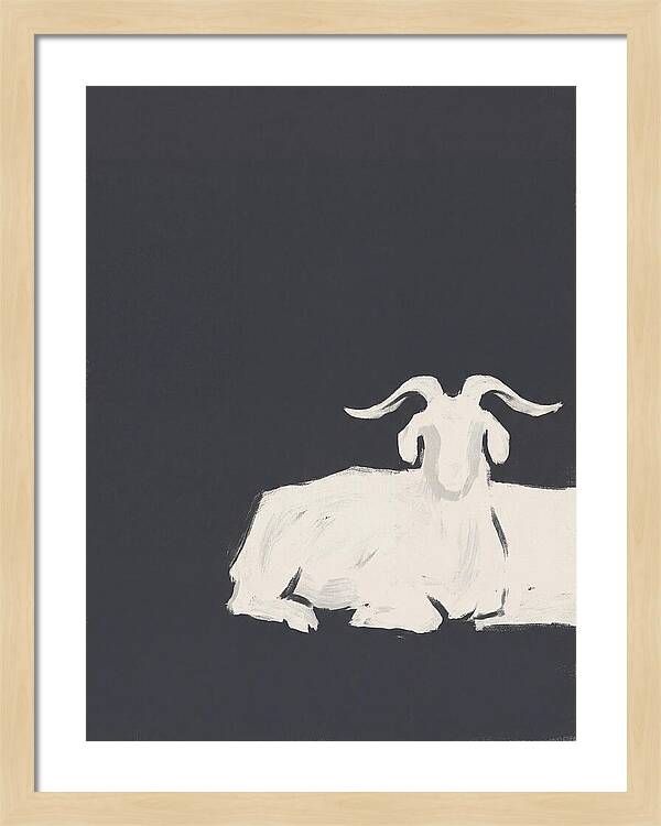 Angora Goat Minimalism