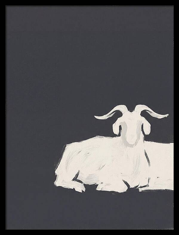Angora Goat Minimalism