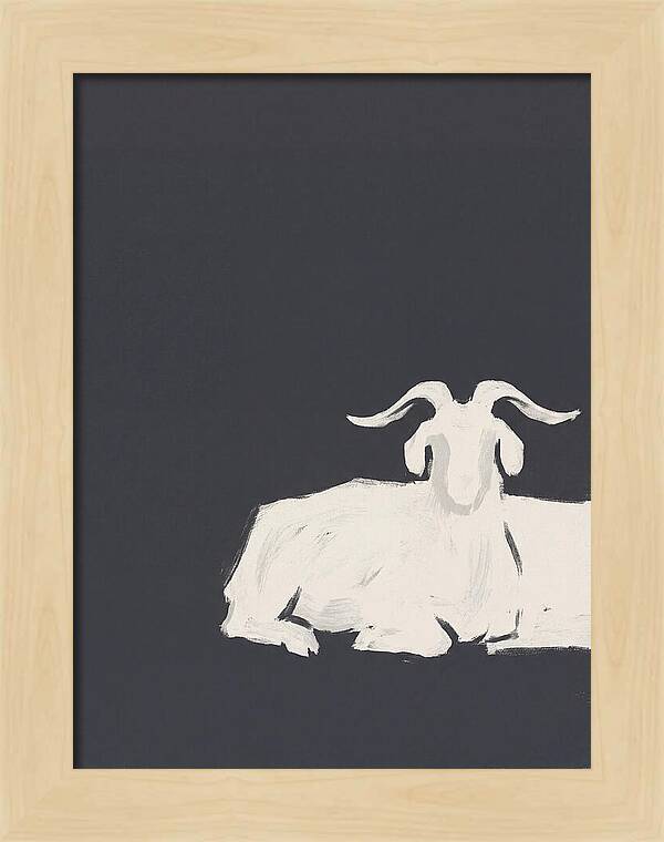 Angora Goat Minimalism