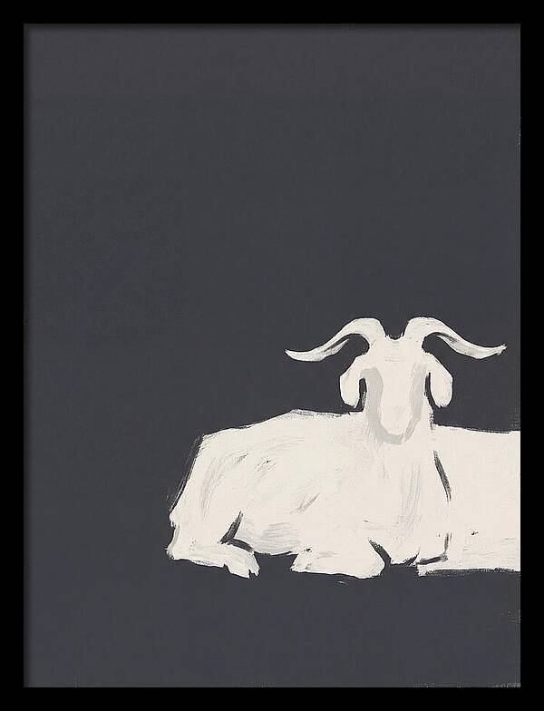 Angora Goat Minimalism