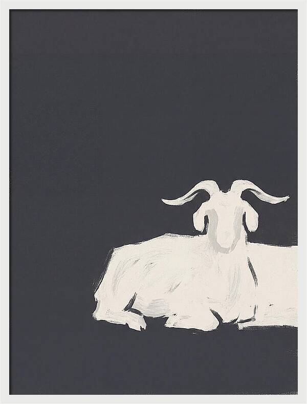 Angora Goat Minimalism