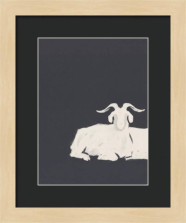 Angora Goat Minimalism