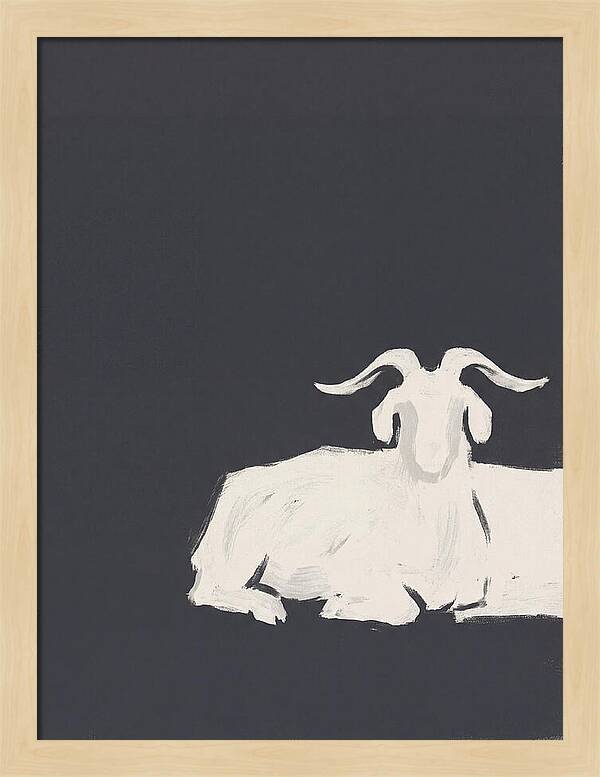 Angora Goat Minimalism