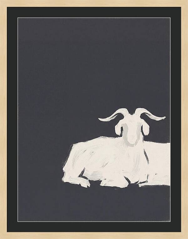 Angora Goat Minimalism