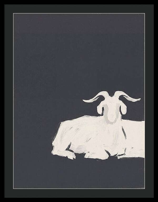 Angora Goat Minimalism