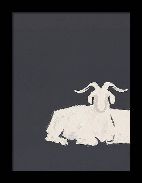 Angora Goat Minimalism