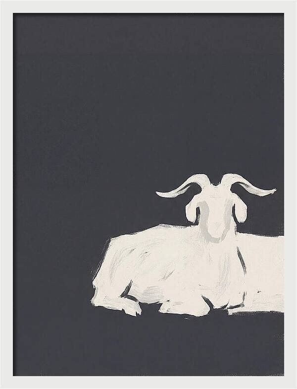 Angora Goat Minimalism