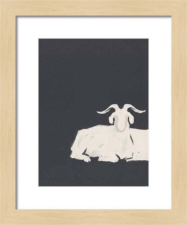 Angora Goat Minimalism