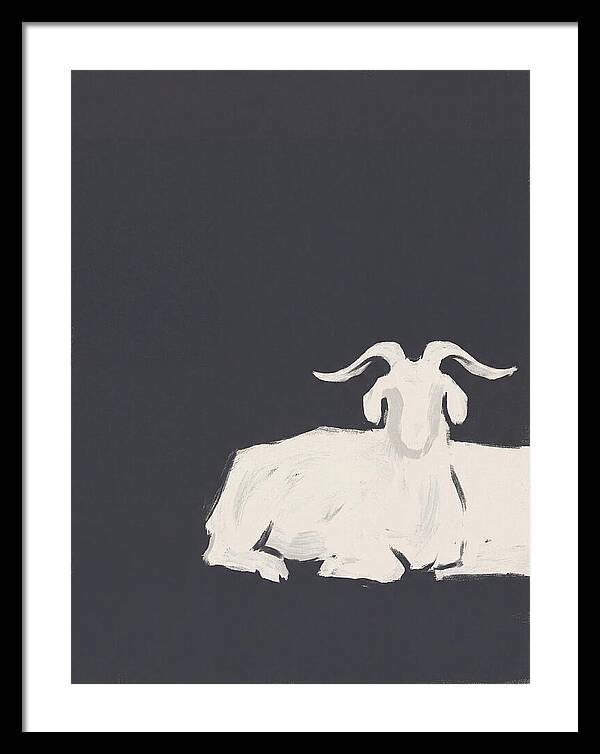 Angora Goat Minimalism
