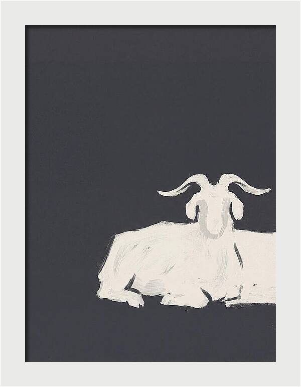Angora Goat Minimalism