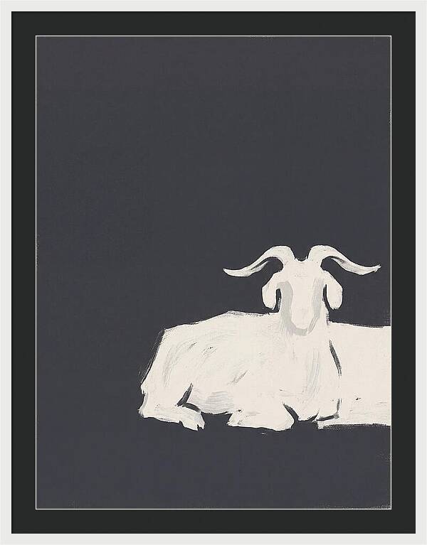 Angora Goat Minimalism
