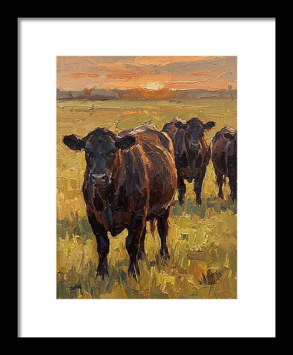 Angus Cattle At Sunset