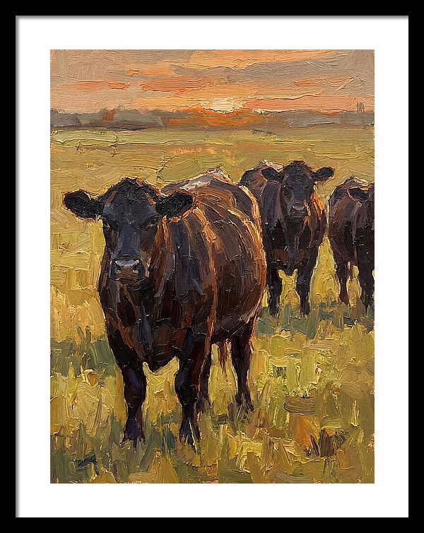 Angus Cattle At Sunset
