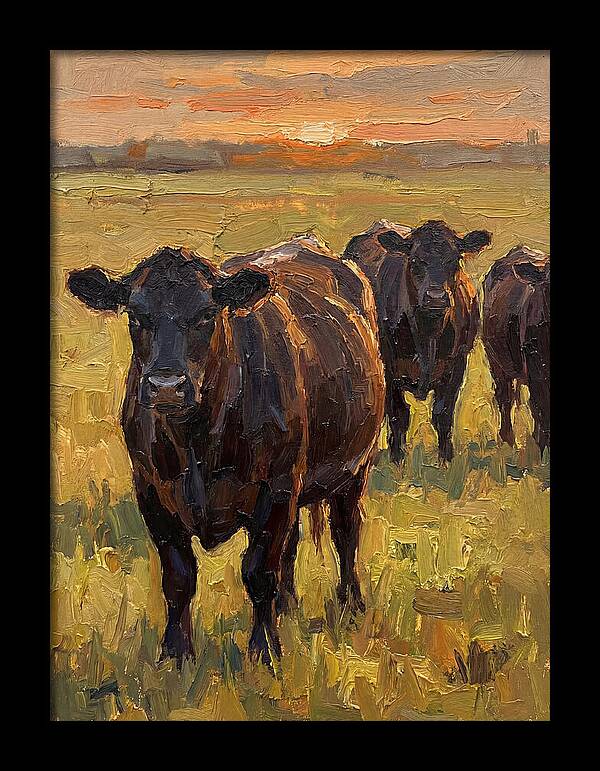 Angus Cattle At Sunset