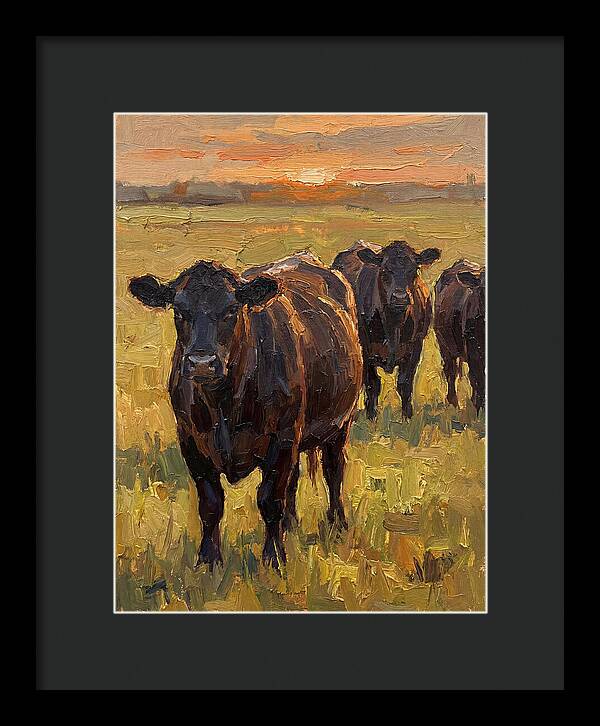 Angus Cattle At Sunset