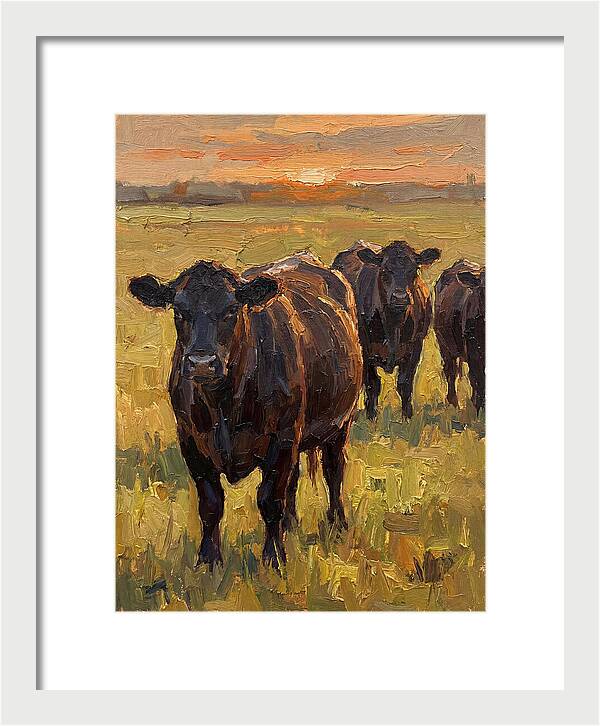 Angus Cattle At Sunset