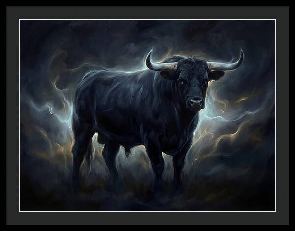 Angus Cattle