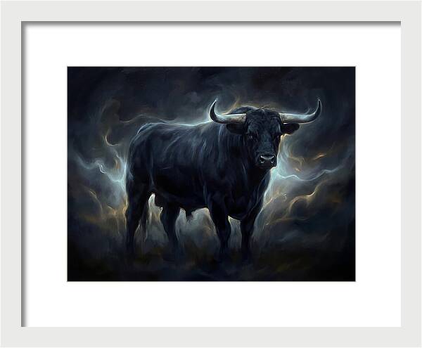 Angus Cattle
