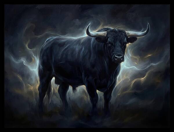 Angus Cattle