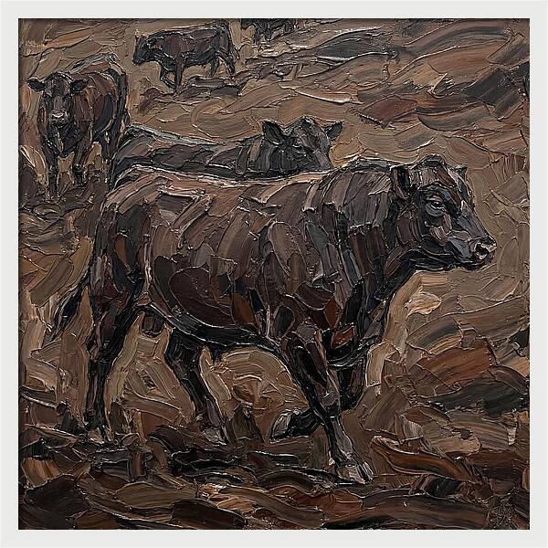 Angus Cattle In Earthy Tones