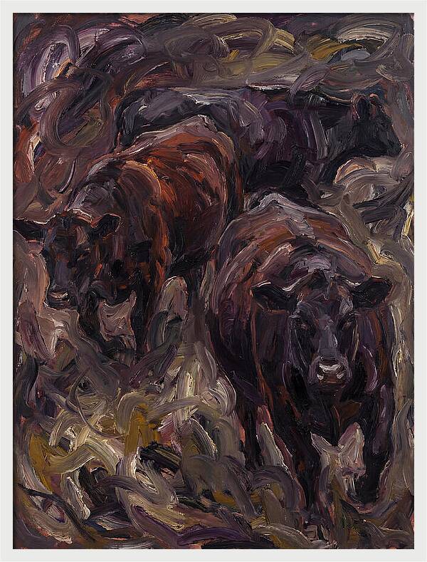 Angus Cattle In Expressionist Style