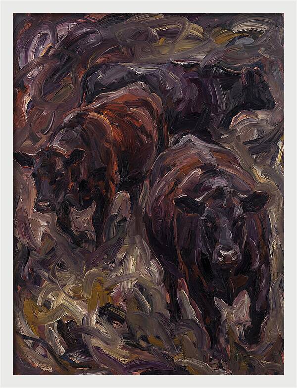 Angus Cattle In Expressionist Style