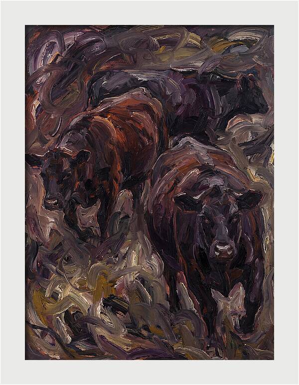 Angus Cattle In Expressionist Style