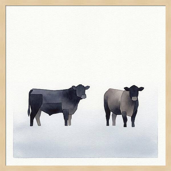 Angus Cattle Silhouettes