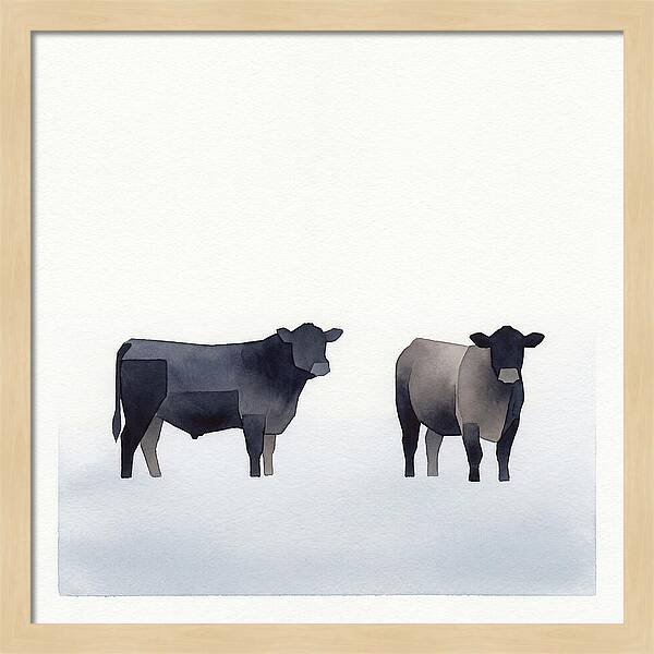 Angus Cattle Silhouettes
