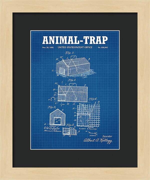 Animal Trap Blueprint Patent Us826942a