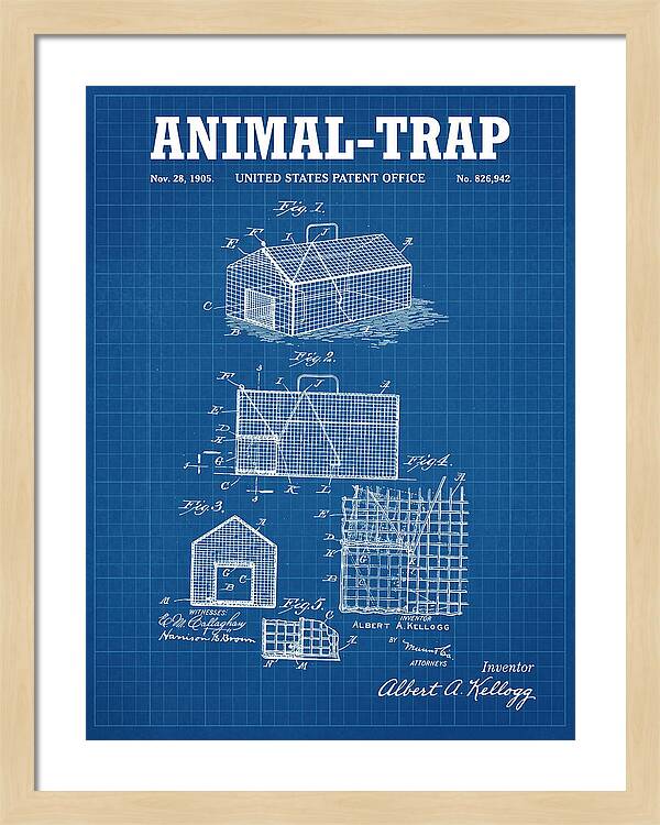 Animal Trap Blueprint Patent Us826942a