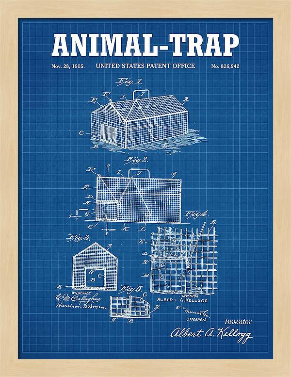 Animal Trap Blueprint Patent Us826942a