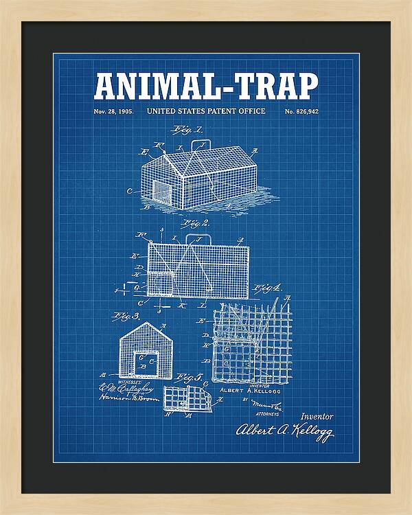 Animal Trap Blueprint Patent Us826942a