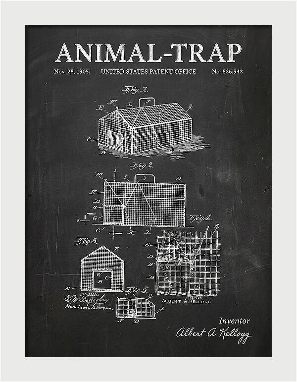 Animal Trap Chalkboard Patent Us826942a
