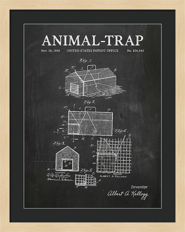 Animal Trap Chalkboard Patent Us826942a
