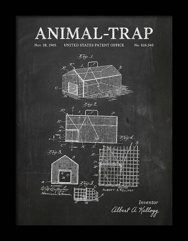 Animal Trap Chalkboard Patent Us826942a