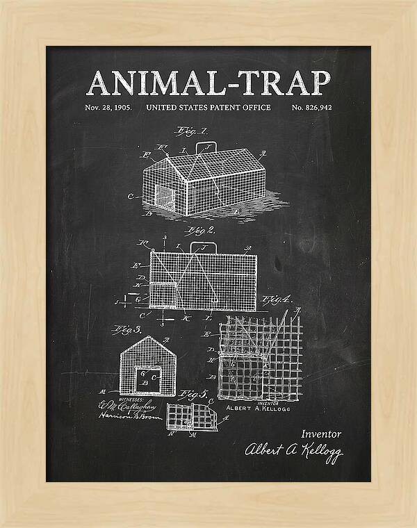 Animal Trap Chalkboard Patent Us826942a