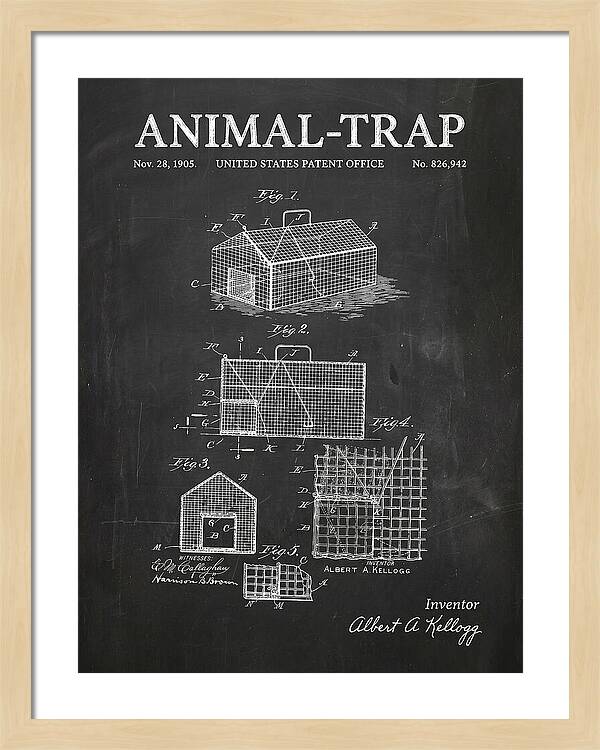 Animal Trap Chalkboard Patent Us826942a